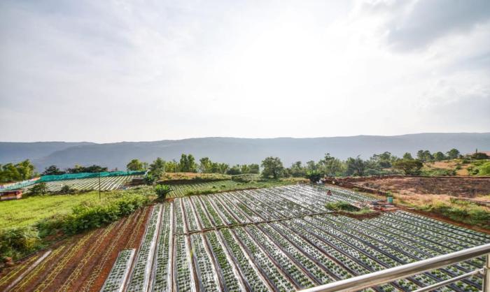 mahabaleshwar