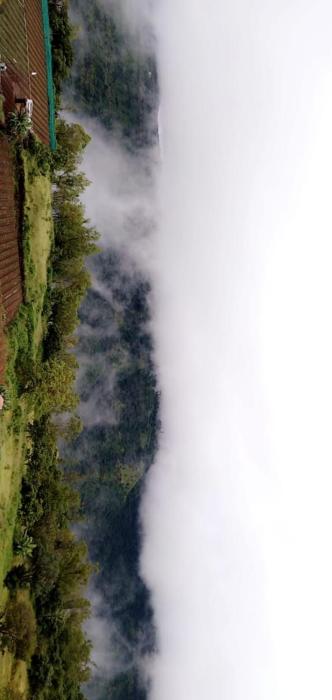 mahabaleshwar