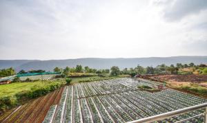 mahabaleshwar