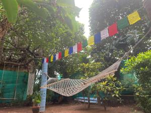 hope hostels varkala helipad