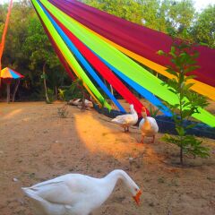 Daaven's Island Resort,Satapada>>Puri,3 star