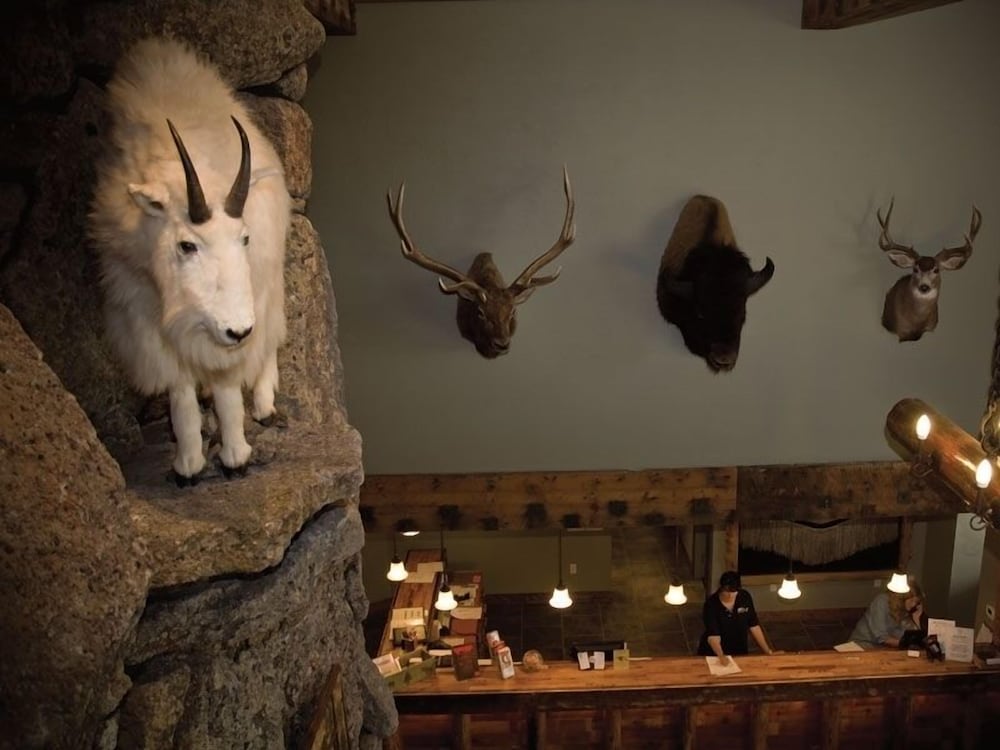 three bear lodge