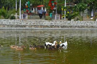 nainital