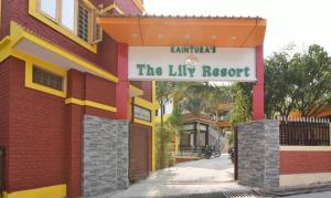 the lily