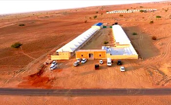 sheesh mahal desert camp