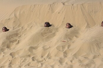 sheesh mahal desert camp