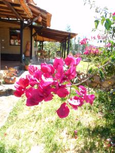 posada el artesano de raquira