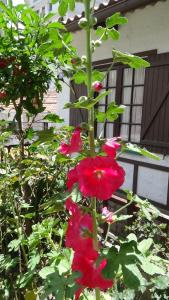 la maison de la bolivie