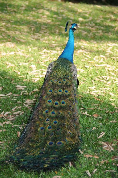 grand carima resort e convention center