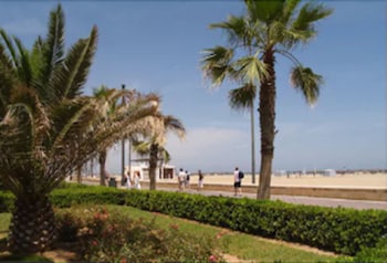 el coso hotel