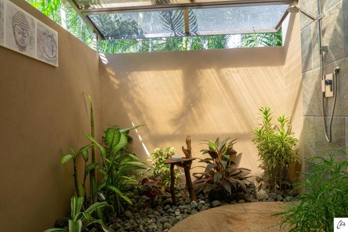 casa buenavista adults only