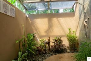 casa buenavista adults only