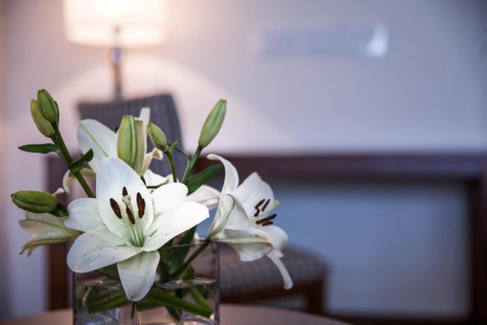 howard johnson plaza by wyndham buenos aires