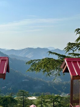 shimla