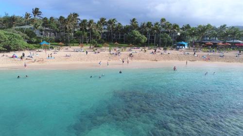 ocean villas at turtle bay