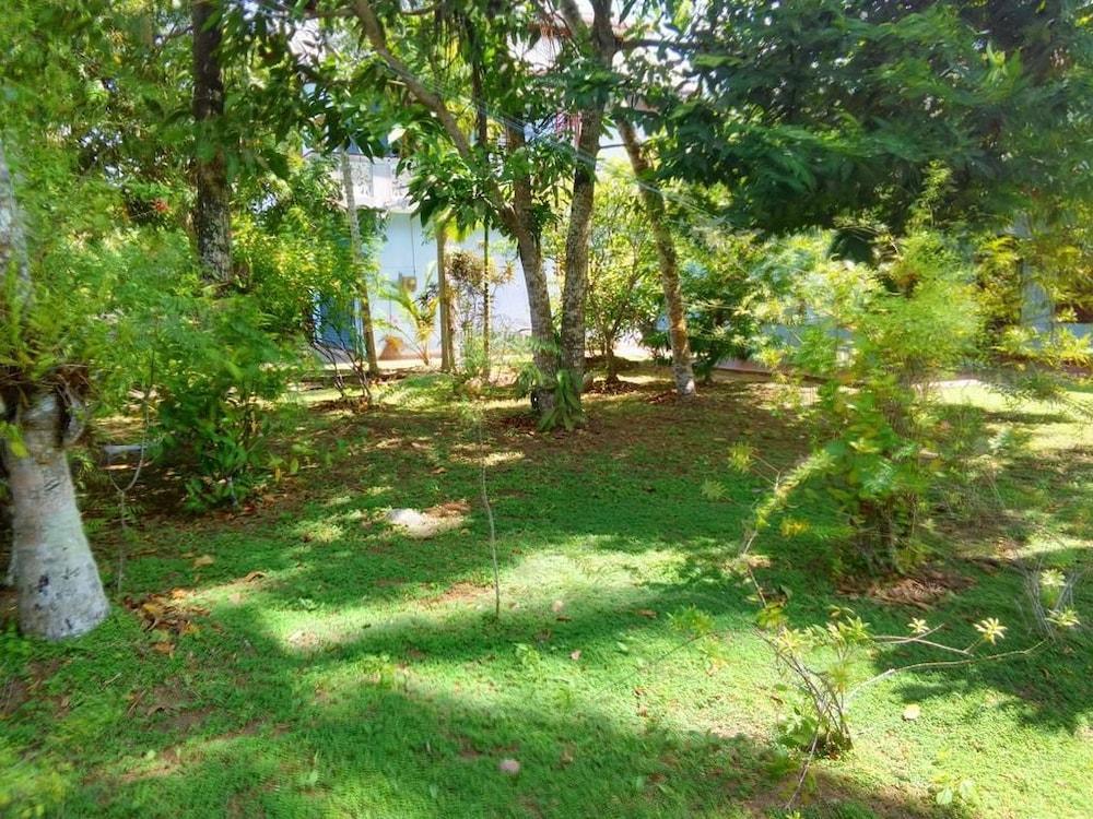 randi guest house mirissa beach