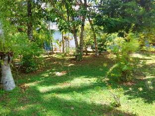 randi guest house mirissa beach