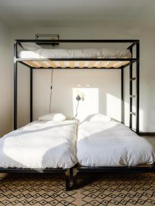 edville studio