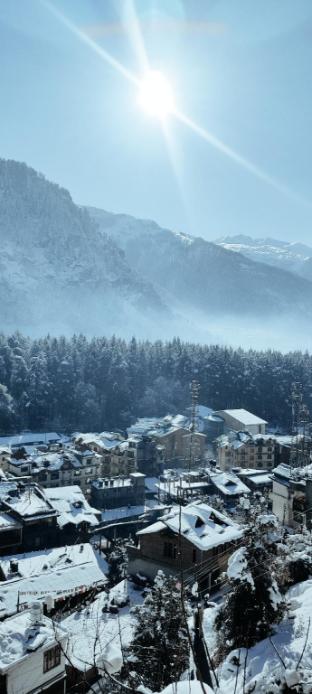 hotel ambika bliss manali