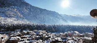 hotel ambika bliss manali