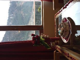 hotel ambika bliss manali