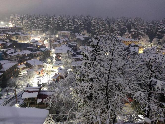 hotel ambika bliss manali