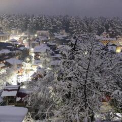 hotel ambika bliss manali