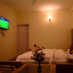 hotel ambika bliss manali