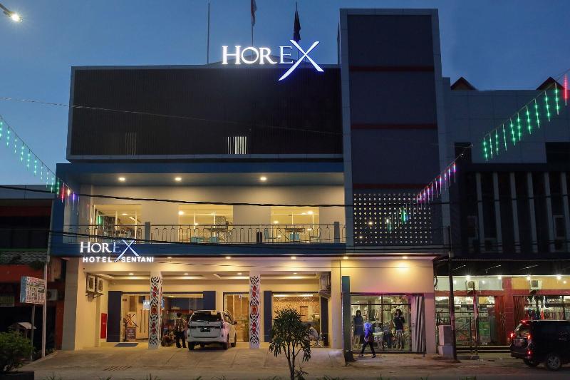 horison express sentani