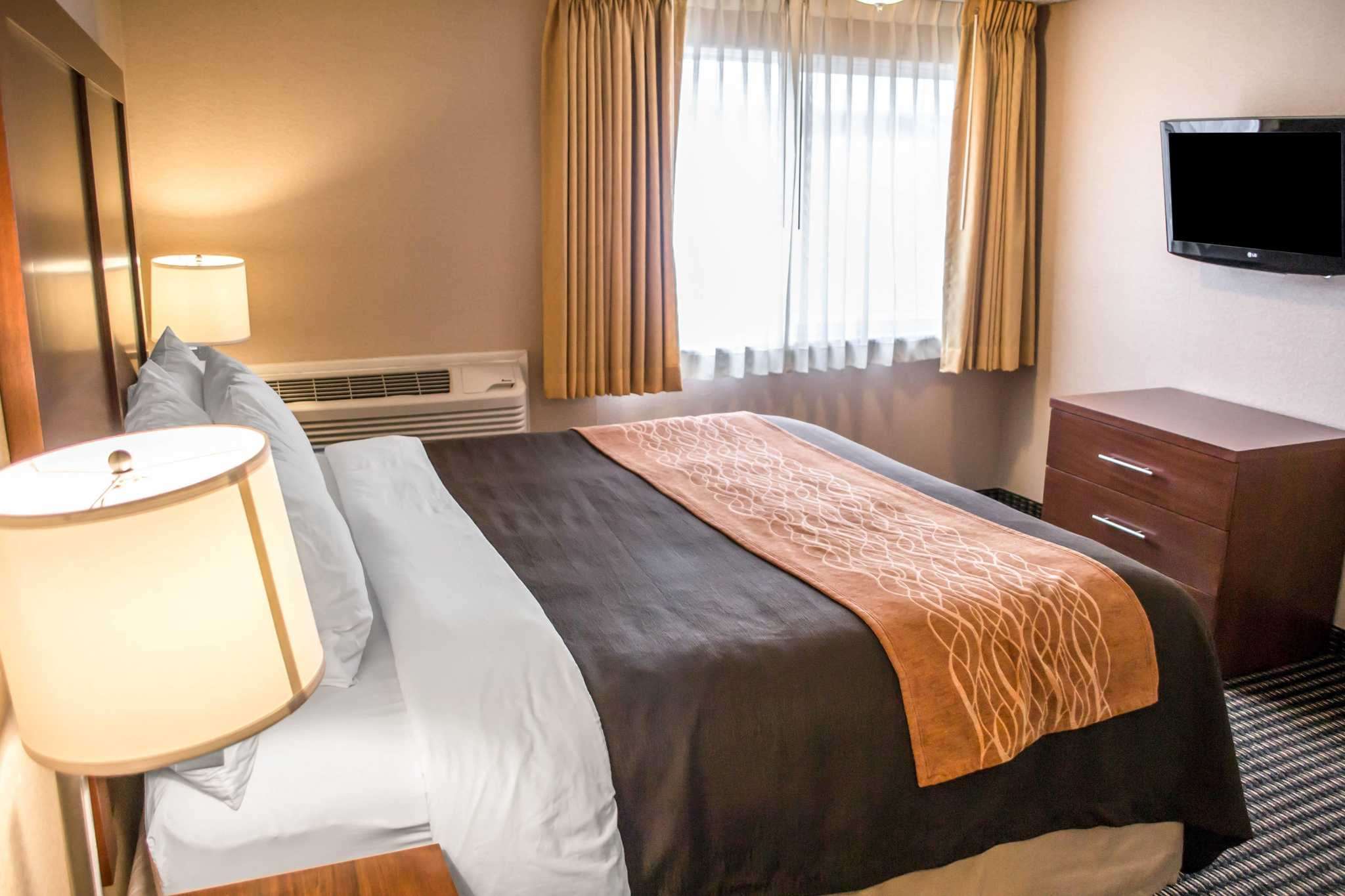 comfort inn and suites beaverton portland west