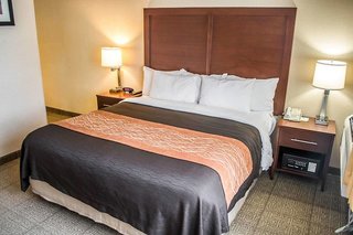 comfort inn and suites beaverton portland west
