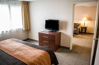 comfort inn and suites beaverton portland west