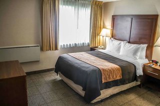 comfort inn and suites beaverton portland west