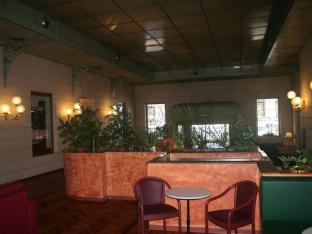 albert hotel