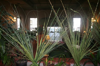 albert hotel