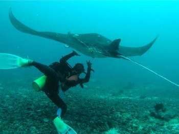 agm beachfront resort and resto