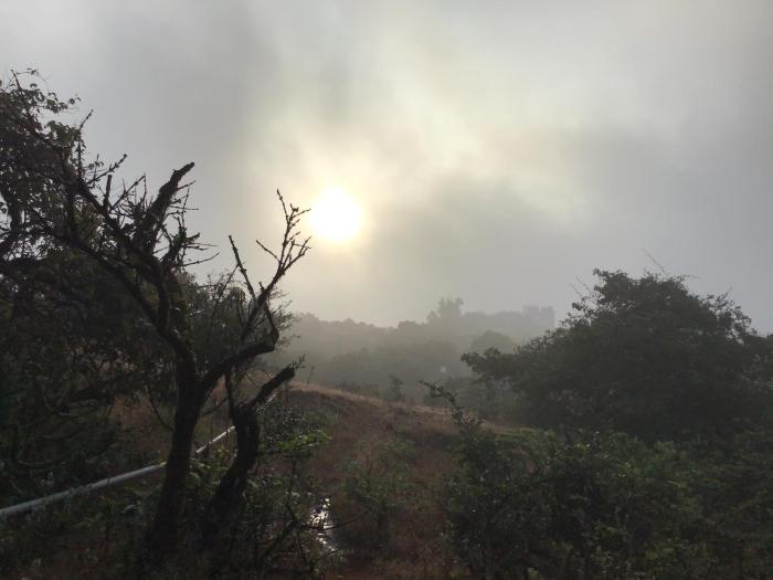 mahabaleshwar