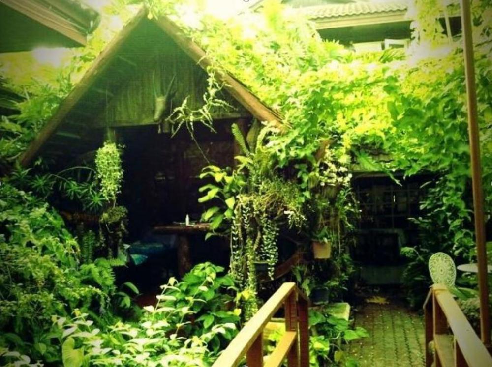 baan somboon guesthouse