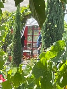 chardonnay lodge