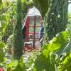 chardonnay lodge