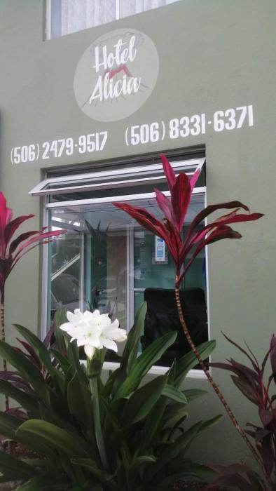 hotel alicia