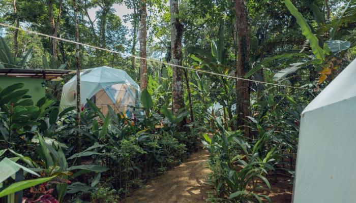 faith glamping dome costa rica