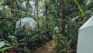 faith glamping dome costa rica