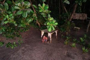faith glamping dome costa rica