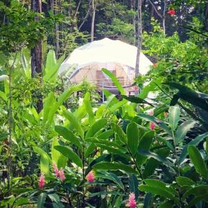 Faith Glamping Dome Costa Rica,Manzanillo>>Cahuita,4.5 star