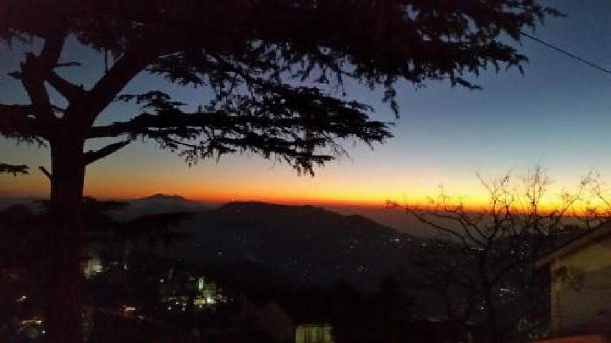 shimla