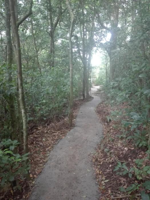 monteverde costa rica