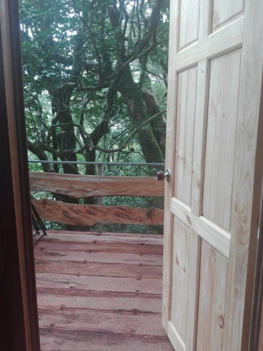 monteverde costa rica