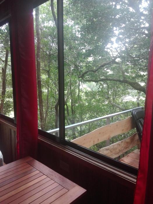 monteverde costa rica