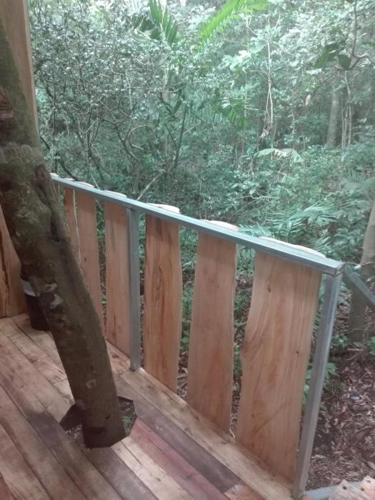 monteverde costa rica